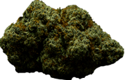 nug 2_home