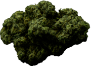 nug 4_home